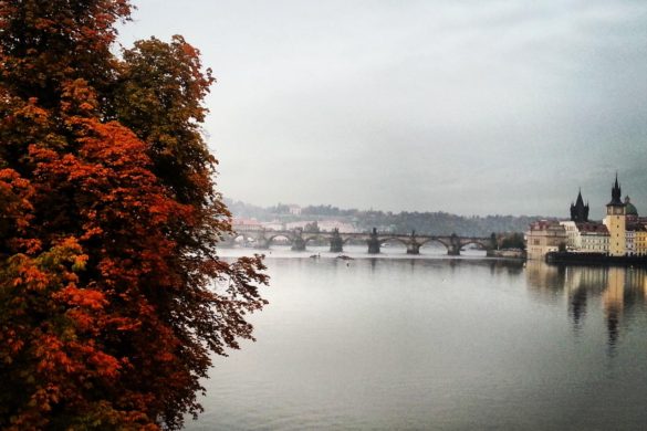 Prag Vltava Nehri ve Karluv Most Köprüsü